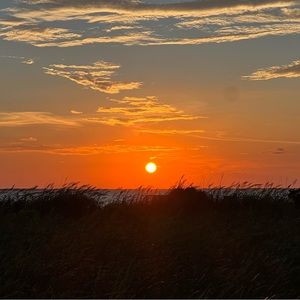 Meet your Posher, Bella